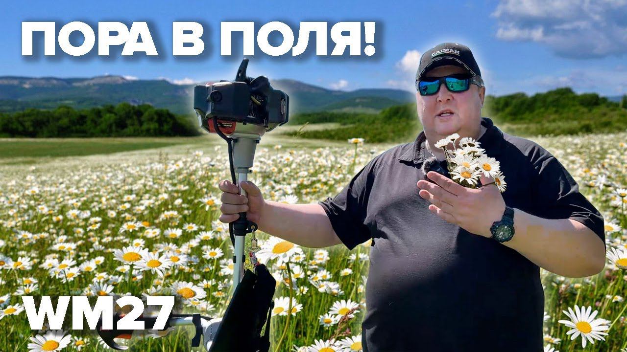 ПОРА В ПОЛЯ! Бензокоса CAIMAN WM27 #дачасадогород #2024 #топ5 #лучшие #бензокоса #мотокоса#газон