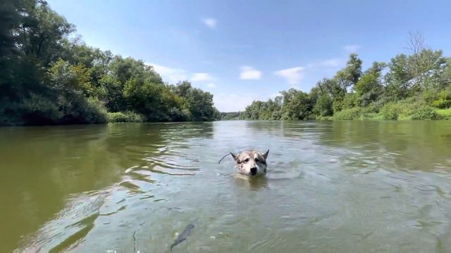 Зсл ларь принимает водные процедуры смотреть онлайн
