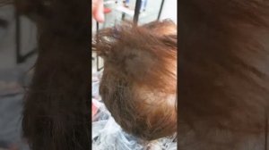щелочная смывка и моя ошибка.