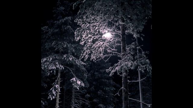 Строра. Вот и Луна пополняет небесные сводки. В.Стронин.