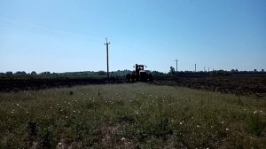 Дискование поля