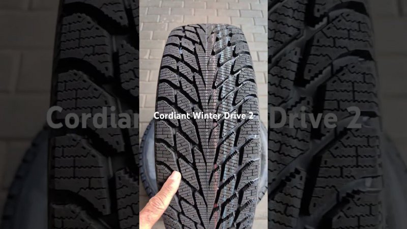 Cordiant Winter Drive 2 зимняя нешипованная шина.