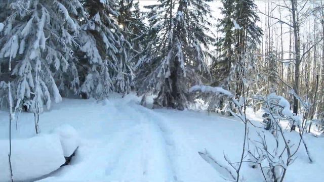 Поход на Веселые горы на лыжах смотреть онлайн