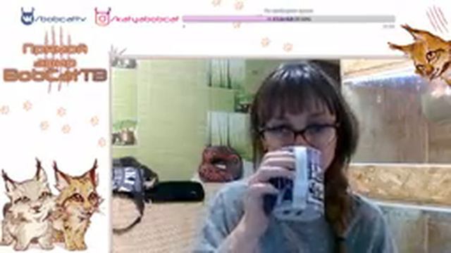 Тайчик. Щенок САО смотреть онлайн