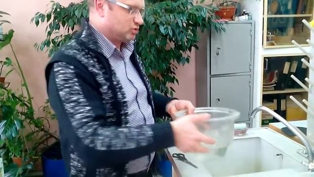 Орхидея фаленопсис, посадка