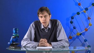 Методы исследования генетики человека. Видеоурок по биологии 10 класс