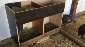 Гнёзда и насесты для индеек. Подготовка к периоду яйцекладки.