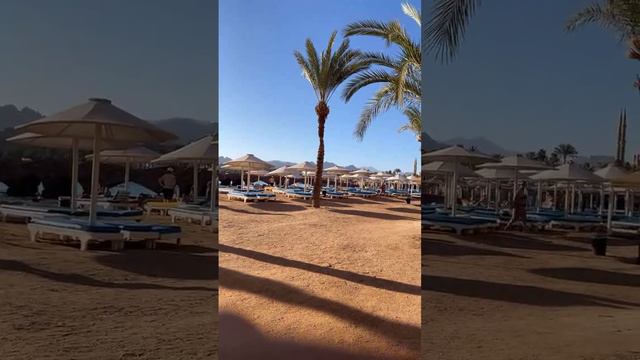 #шармэльшейх2024 #египет #египет2024 #отдыхвегипте #шарм