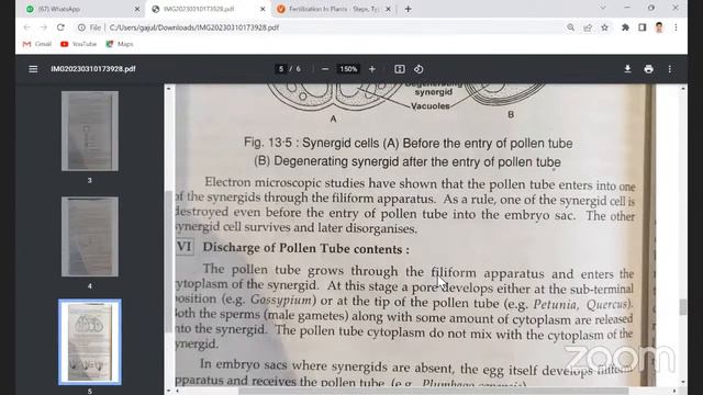 M.Sc BOTANY 2nd YEAR Course - 6 : Medicinal Plants and Embryology of Angiosperms смотреть онлайн