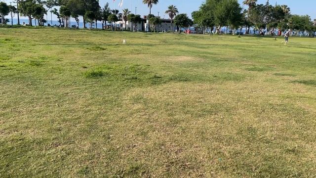 Турецкая IKEA, METRO и автозапчасти в Турции смотреть онлайн