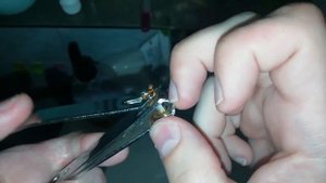 Как правильно стричь ногти