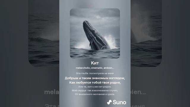 Кит