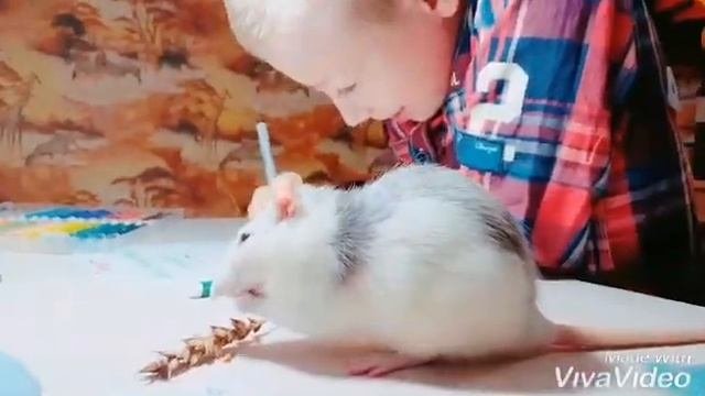 Наши проекты. Имена прилагательные в загадках.
