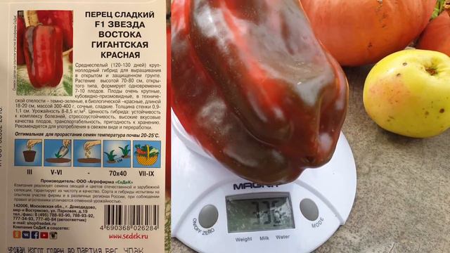 Суперурожайный  Крупноплодный Сладкий Перец. Семена Седек 2022.