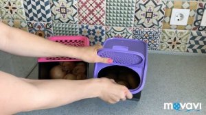 Контейнер Свежесть Tupperware