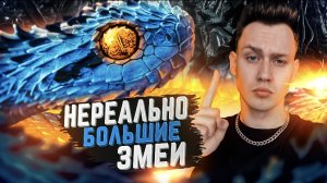 Змеи, которые до безумия большие