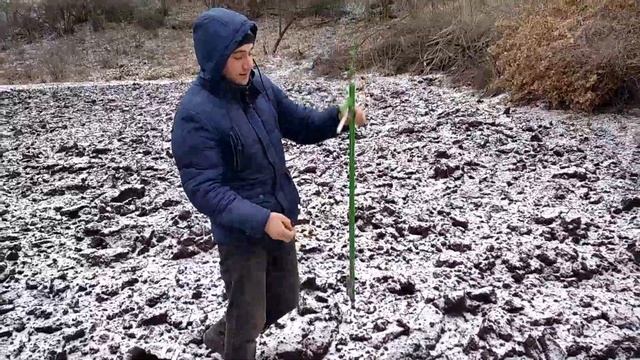 Сеялка точного высева . Пистолет для посадки кукурузы, огурцов, тыквы. Сладкая кукуруза Добрыня F 1