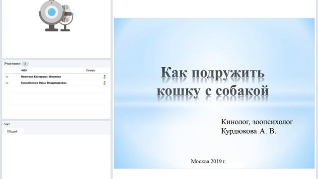 Зоопсихология: Как подружить кошку с собакой