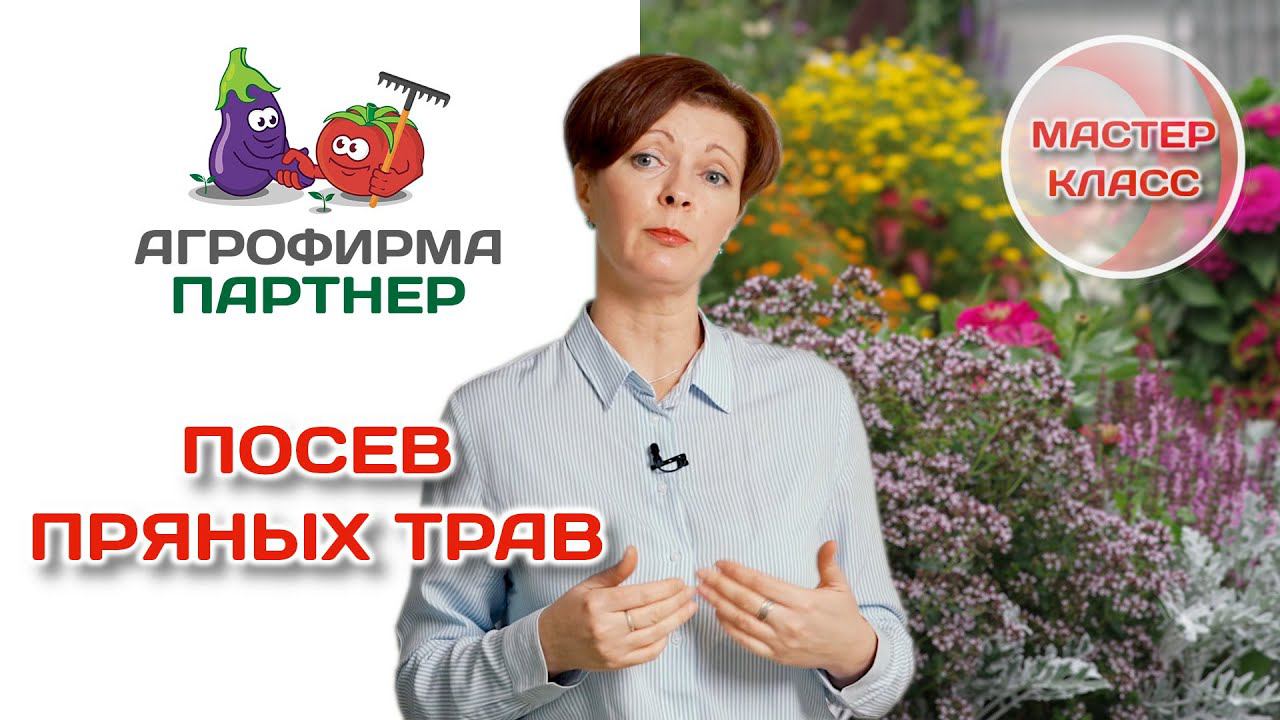 Посев пряных трав | Мастер-класс от 14 января 2022 года | #огород #семена #дача