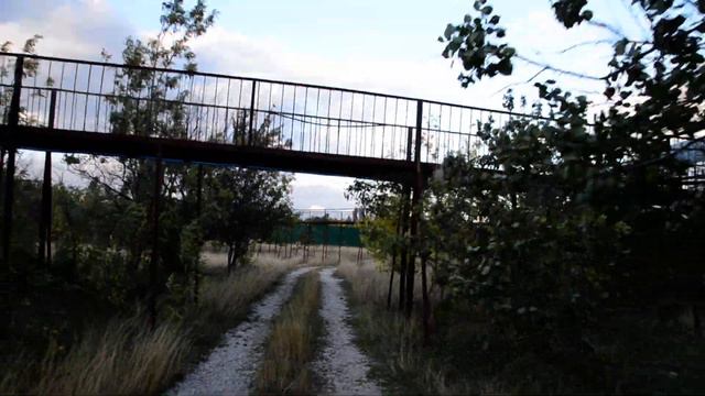 Львица Лола дождалась гостей ! смотреть онлайн