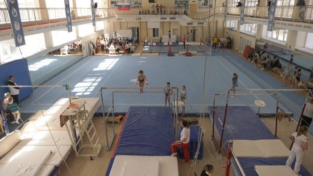 В Воронеже прошли соревнования по спортивной гимнастике смотреть онлайн