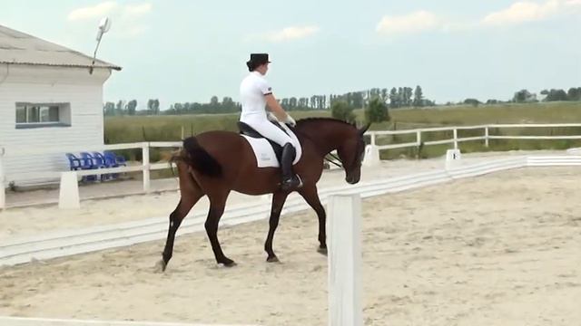 Данхил. КСК "Стиль" смотреть онлайн