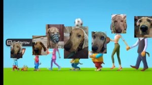 Мультики с Бруно!