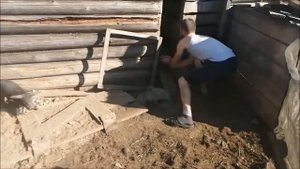 Как и какие прививки делать поросятам! Моё хозяйство