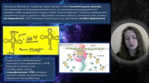 Урок 15. Репликация, транскрипция и трансляция. Реакции матричного синтеза с примерами заданий.