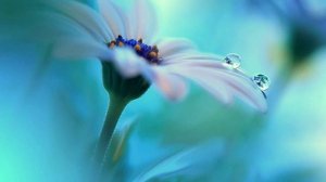 От бессилия к сотворению новой реальности. Практика. Изменись сам, и весь мир вокруг тебя изменится.