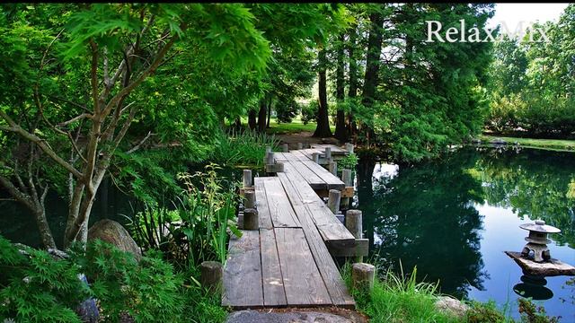 Засыпай! Птицы, сверчки, лягушки, шум дождя. Звуки природы за сутки у водоёма. смотреть онлайн