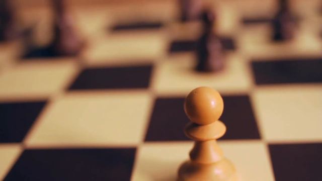 "Questa guerra non ci appartiene" di Paolo Cavallari