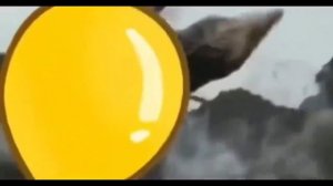 Shitpost status V43 | shitpost compilation - shitpost derleme