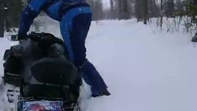 Застрял на Vikinge смотреть онлайн