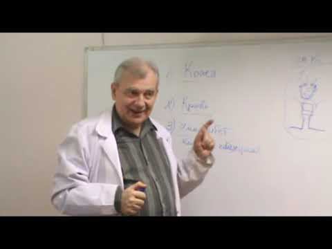 Электрический Иммунитет (А.Н. Алименко) смотреть онлайн