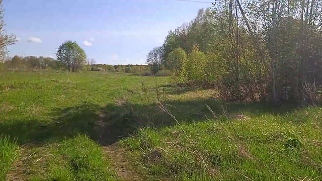 Цветет черемуха к похолоданию... смотреть онлайн