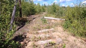 Разобранная узкоколейка. Август 2023