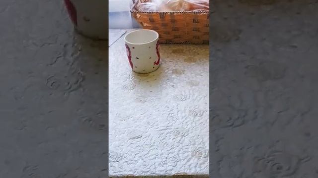 19 октября 2023 г. смотреть онлайн