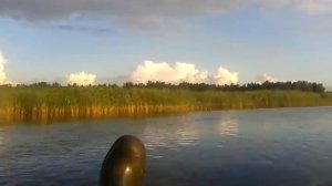 Tohatsu 9.8 2t лодка flint 320 плоскодонка