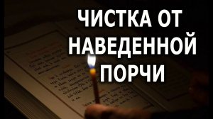 ЧИСТКА  ОТ НАВЕДЕННОЙ ПОРЧИЗАЩИТА