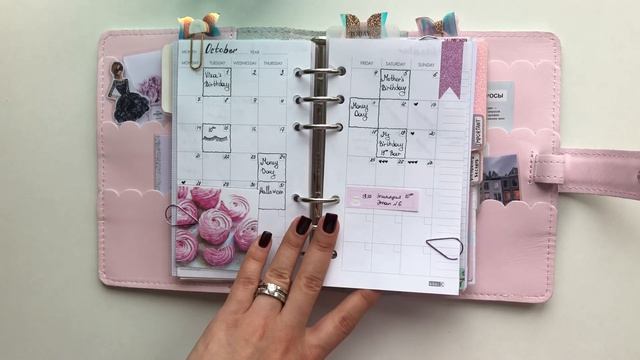 THE FOXY FIX ? planner | самый долгожданный обзор ☺️? смотреть онлайн