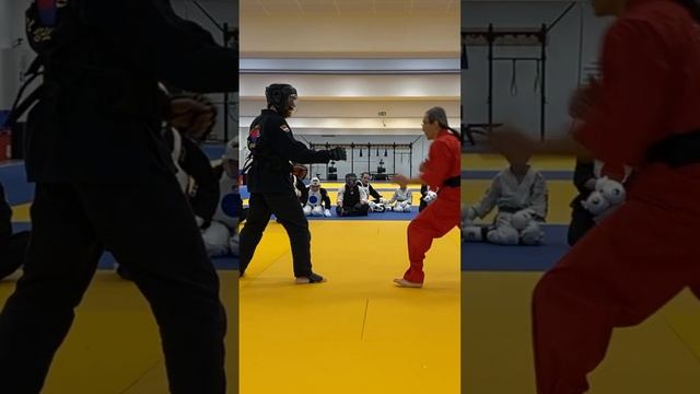 Leg tap as Setup for Combinations by Hwa Rang Do® Grandmaster Taejoon Lee