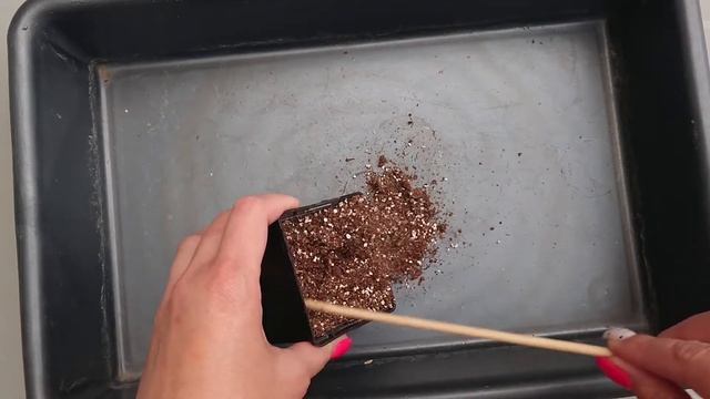 Что же получилось из сеянцев Oxalis flava? Часть 3 смотреть онлайн