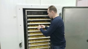 Сушим яблоки: влияние уставки температуры, влажности и скорости воздуха на качество продукта! Разбо