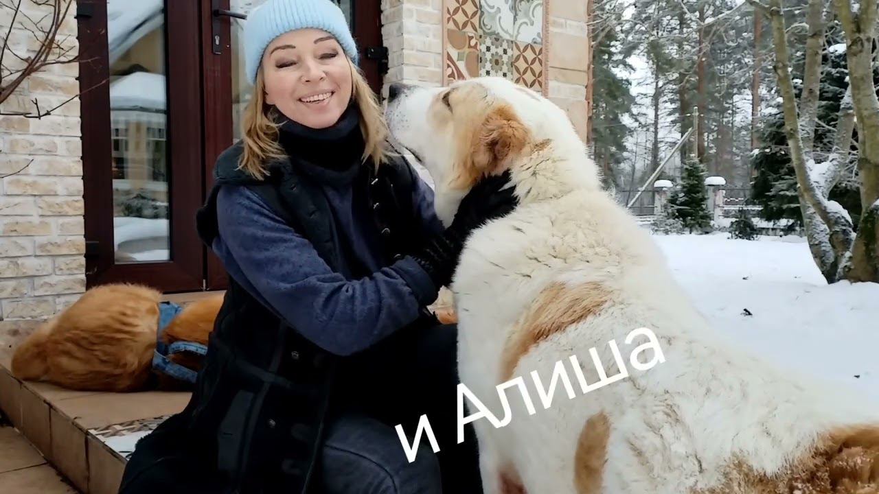 Бурситы, артриты, артрозы у САО. Причины, профилактика и лечение. смотреть онлайн