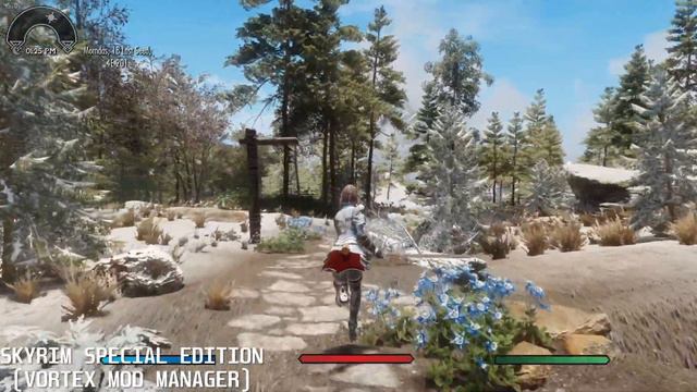 [MO2 vs Vortex] Skyrim Run Animation (Feet) wrong while wearing heels