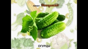 Загадки для детей про овощи с ответами. Про овощи для детей. Загадки