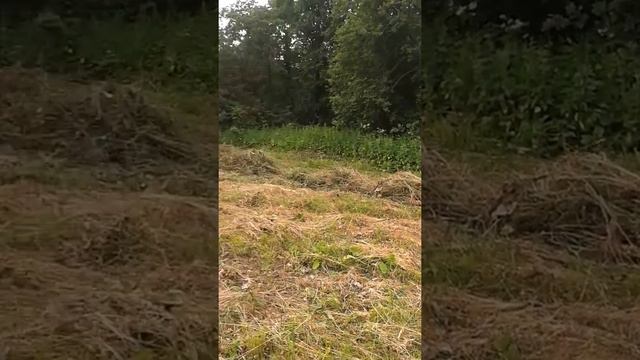 Грабли для сгребания сена ленточного типа своими руками смотреть онлайн