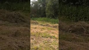 Грабли для сгребания сена ленточного типа своими руками