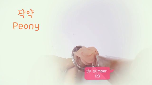앙금플라워 치자꽃 & 작약 ♡Gardenia & peony flower piping techniques
